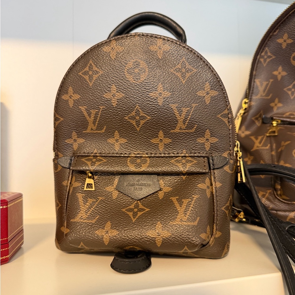 Louis Vuitton Palm Springs mini backpack